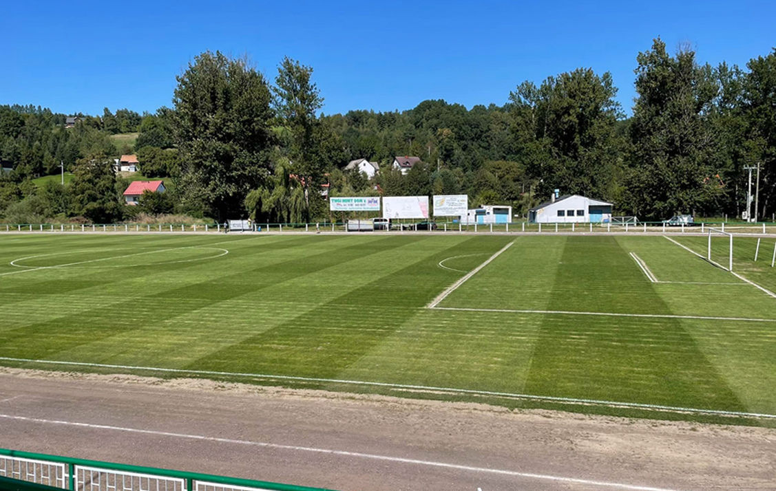 grybovia dabrovia glowne 1